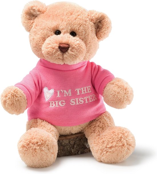 Knuffelbeer Grote Zus Pluche Speelgoed voor Nieuwe Baby van Anico.