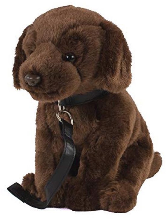 Knuffeldier Labrador met Riem - Pluche Hond van 30 cm van Merkloos