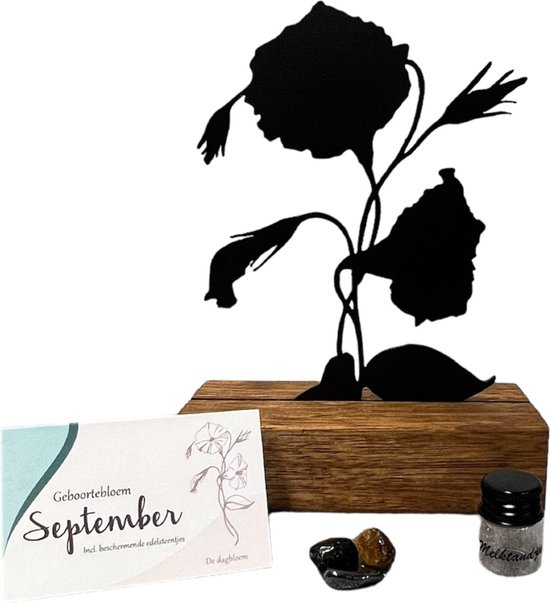 Kraam cadeau - geboortebloem beeld- September - Dagbloem - mét tandendoosje / potje / haarlokpotje en beschermende edelsteentjes - metaal in houten sokkel - baby cadeau - babyshower cadeau van Mooikoopt.