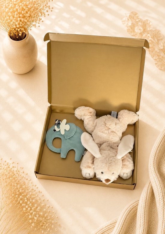Kraamcadeau Baby groen – Beige – Knuffel & Speenkoord – Luxe Cadeauset – Past door de Brievenbus – neutraal – jongen – meisje – kraampakket – babyshower – geschenkset