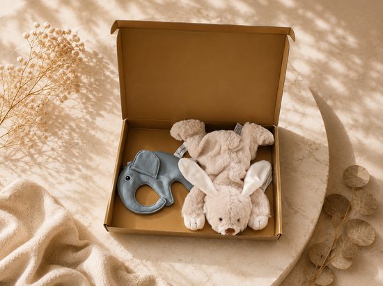 Kraamcadeau Baby – lichtblauw – beige – Knuffel & Speenkoord – Luxe Cadeauset – Past door de Brievenbus – baby jongen – kraampakket – babyshower – geschenkset