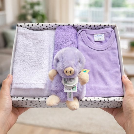 Kraamcadeau Meisje Lila – Cadeaubox met Romper, Slab en Knuffel