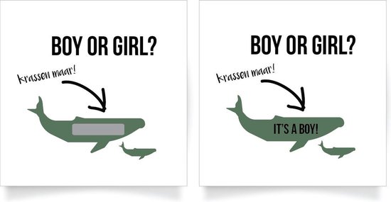 Kraskaarten Gender Reveal Party - Babyshower - Zwanger - Raad het geslacht - JONGEN - 20 stuks
