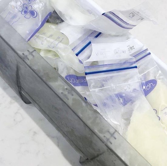 Lansinoh 2 x Bewaarzakjes voor borstvoeding - 50 stuks (100 stuks) Maat: 100 stuks van Lansinoh