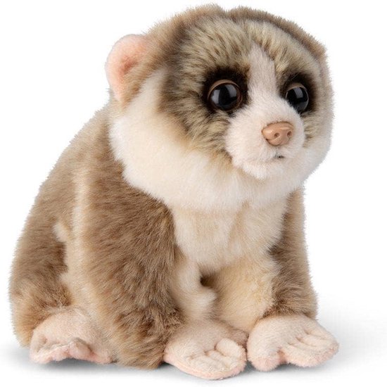 Levensechte Pluche Knuffel Loris - Zacht en Veilig Speelgoed voor Baby's van Merkloos