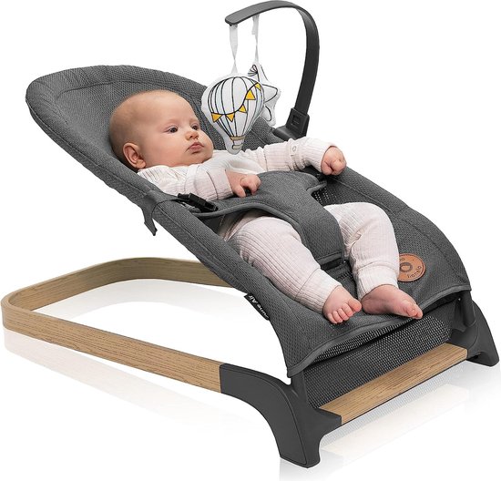 Lionelo June Air - Babyschommel - tot 9 kg - 3-punts veiligheidsgordels - Lichtgewicht van Lionelo