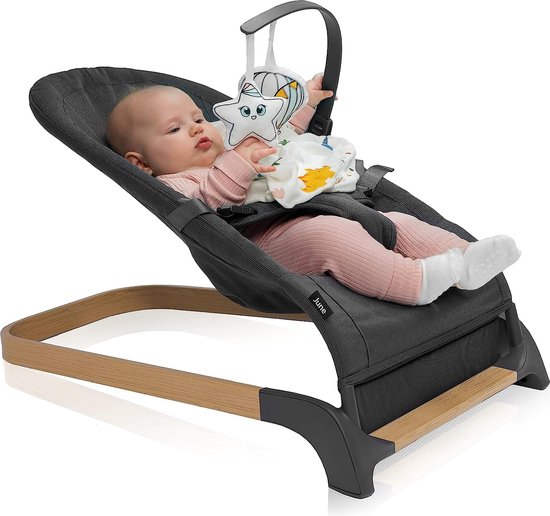 Lionelo June - Babyschommel - tot 9 kg - 3-punts veiligheidsgordels - Lichtgewicht van Lionelo