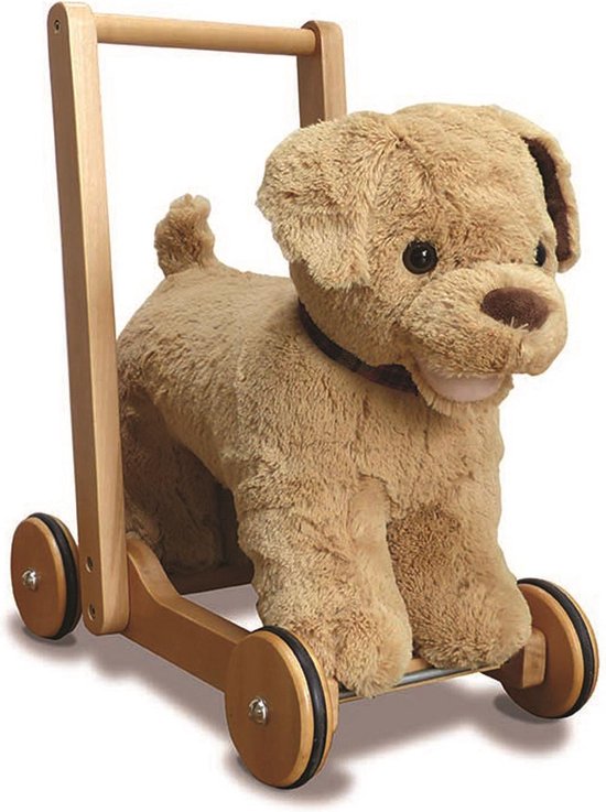 Little Bird Told Me Dexter Dog Push Along van Little