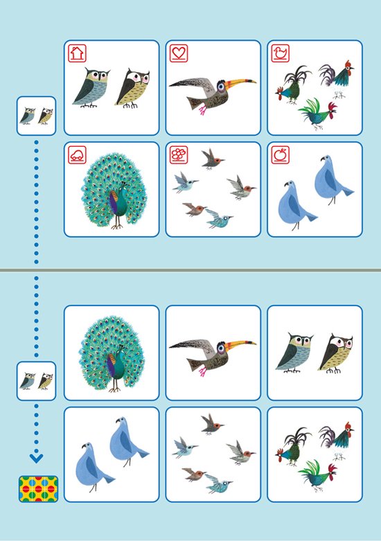 Loco Loco Bambino - Fiep Westendorp Tellen met Dieren van Loco