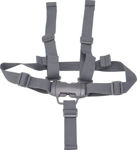 Maxi-Cosi Gordel voor Minla-kinderstoel van Merkloos