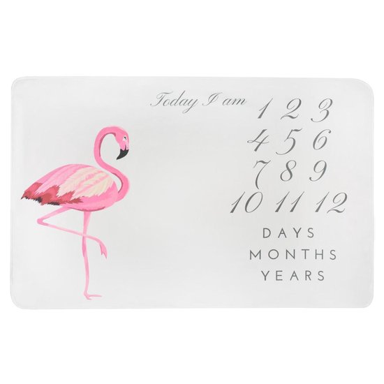 Mijlpaal Deken - Flamingo - Mijlpaaldeken -Milestone Blanket - Babydeken - Fotodeken Met Lijst - Supercute - Unisex - Babyshower - Kraamkado Idee - XL Baby Foto Deken - Kraam Cadeau Van Het Jaar - Milestone Babydoek - GRATIS verzendkosten van Supercute