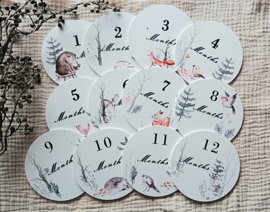 Mijlpaal rondjes - Mijlpaal schijven - Bosdieren - Forest Friends - Forex - 1 maand tm 1 jaar - Baby - Eerste jaar - Kraamcadeau - Babyshower - Geboorte - Zwanger van Merkloos