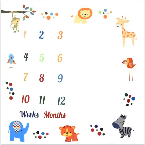 Mijlpaaldeken - Baby - Geboorte - Mijlpaal - Deken - Milestone - Baby shower - Baby cadeau - Herinnering - Het beste kraamcadeau! van Mi