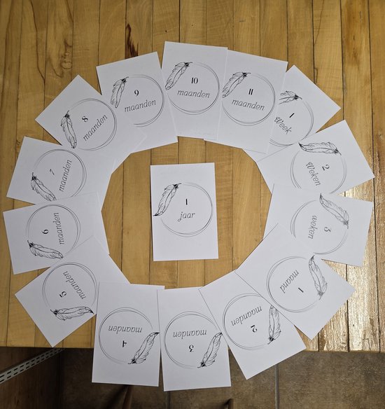 Mijlpaalkaarten-Veertje- cadeau babyshower-15 kaarten-eerste jaar- 100mmx150mm van Merkloos