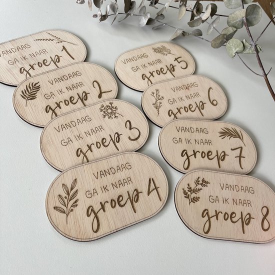 Mijlpalenkaartjes basisschool van Mi