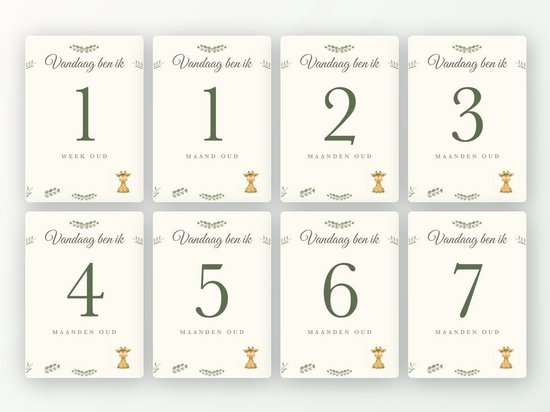 Milestone kaarten baby, 24 stuks A5 (jungle-giraf)