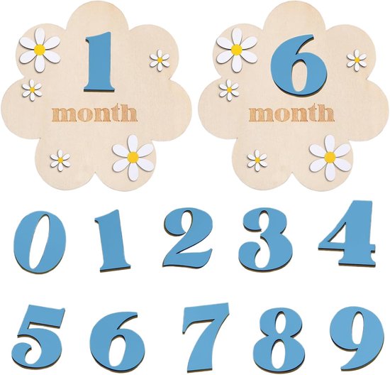 Milestone Maps, DIY Milestone Cards, Baby Wood, Flower Style Baby Milestone Photo Props, for 0-12 Months Toddlers - ShopVlot