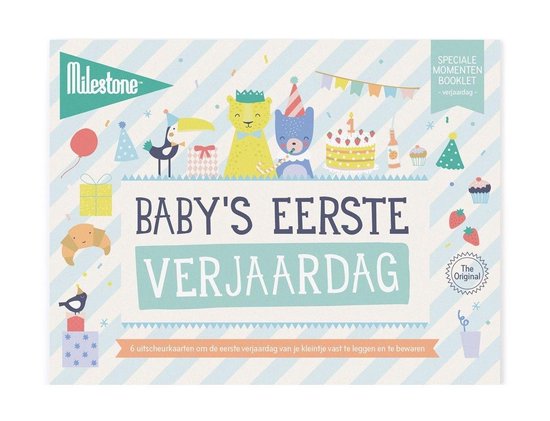 Milestone Mijlpaalkaarten Eerste Verjaardag 15 Cm Papier 6 St van Mi