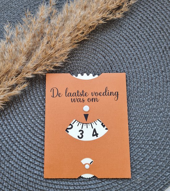 Mint11 - Voedingskaart roest - babyvoeding accessoires - kraamcadeau - kraamkado - babyshowergift - borstvoeding hulpstuk van Mi