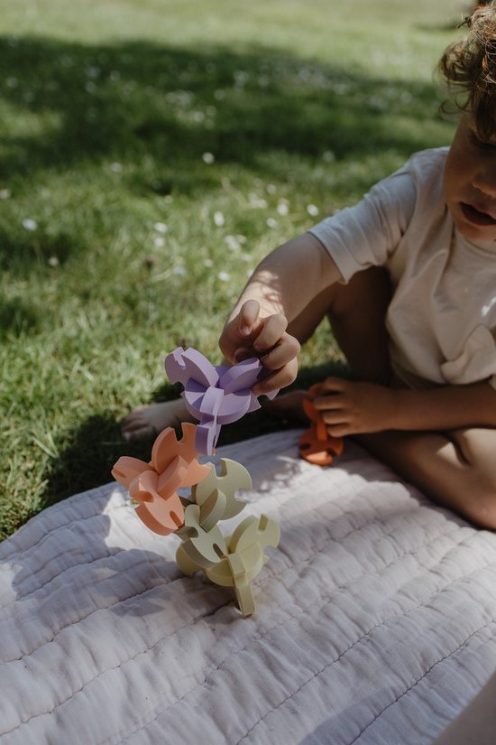 Moes - Circle Connect - building discs van Moes