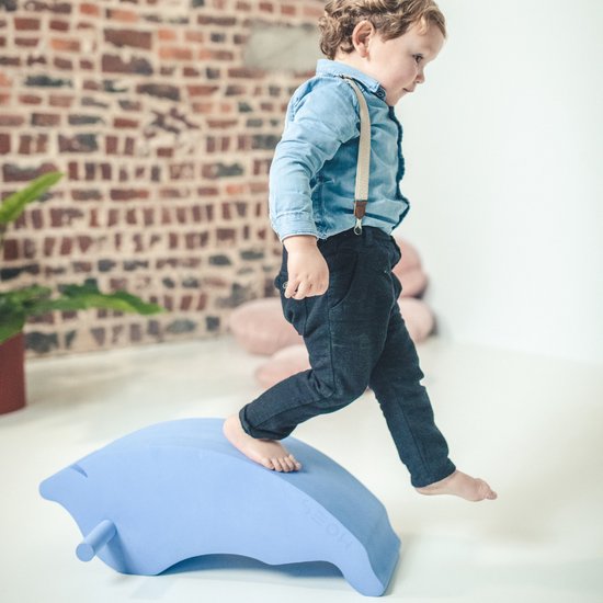 MOES Dolphin (stimuleren creativiteit en motoriek) van Moes