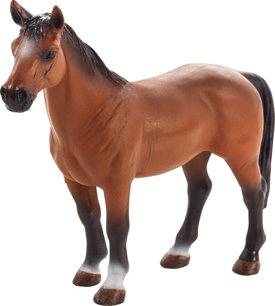 Mojo - Animal Planet Trekpaard - Armasar Trakenher van Mojo
