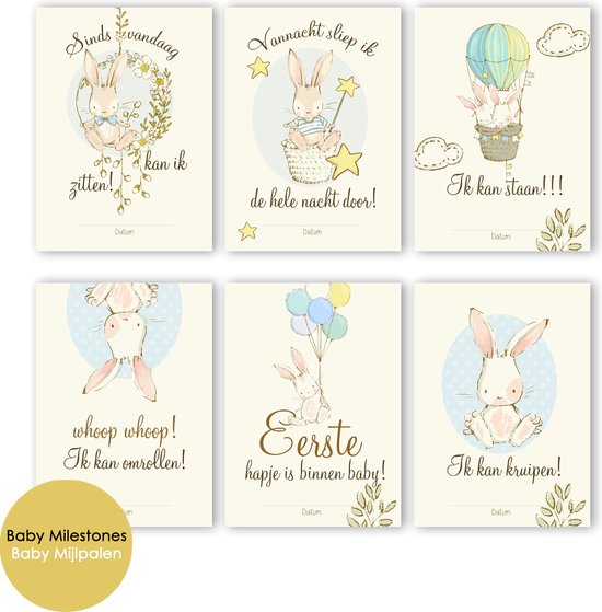 MSTB005 BLAUW - 12 Mijlpaalkaarten - Milestone baby cards - zwangerschap cadeau - Milestone kaarten - Mijlpaal - Babykaart - Mijlpaal baby - Babykaarten van MISTUBOOM