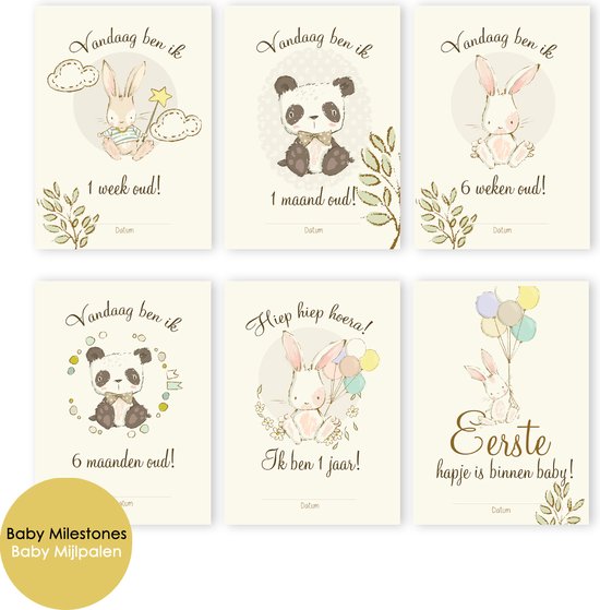 MSTB005 N 12 Mijlpaalkaarten - Milestone kaarten - zwangerschap cadeau - Milestone baby cards -Mijlpaal - Babykaart - Mijlpaal baby - Babykaarten - invulkaarten - kraamcadeau - Babyshower cadeau van MISTBLOEM STUDIO