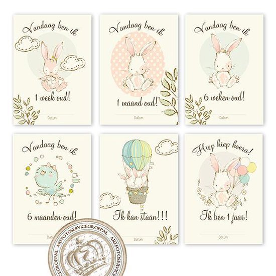 MSTB005 PINK - 12 Milestone baby cards - Mijlpaalkaarten - Milestone kaarten - Mijlpaal - Babykaart - Mijlpaal baby - Babykaarten van The Good Factory