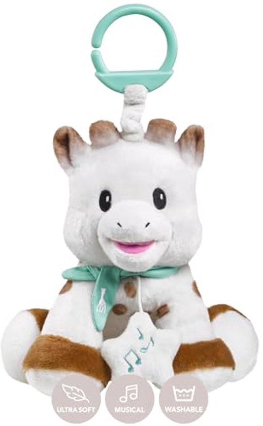 Muzikaal knuffeldier met muziekdoos voor baby's - 20 cm, meerkleurig van Merkloos