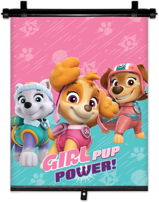 Nickelodeon Paw Patrol Zonnescherm Rolgordijn 36x45 Cm Roze van Nic