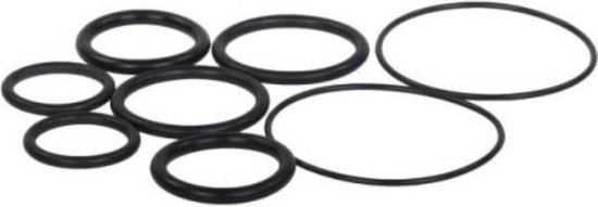 O-ringen (2x) voor UV-C TL van Blue Lagoon