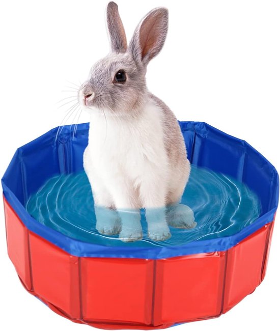 Opvouwbaar Hondenbadje – Binnen- en Buitenbad voor Kleine Honden (Ø50cm)