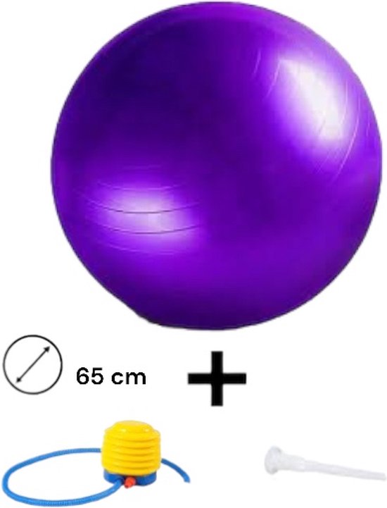 Padisport Yoga Bal Paars 65 Cm- Fitnessbal 65 Cm - Zitbal 65 Cm - Zwangerschapsbal - Fysio Bal - Yoga Bal Inclusief Pomp - Fitnessbal - Pilates Bal - Yoga Bal Paars - Yoga Bal 65 Cm - Yoga Bal - Fitness - Paars van Padisport