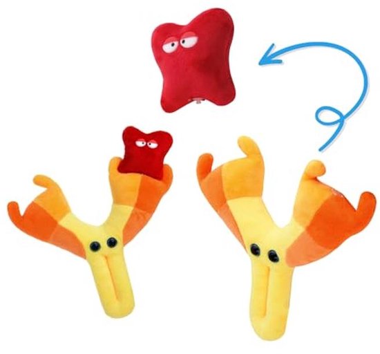 Pluche Antilichaam - Educatief Speelgoed voor Medische Professionals van Merkloos