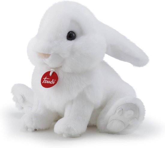 Pluche Haas - Knuffeldier Dier - Kinderkamer Decoratie - Met Geschenkdoos - Medium Formaat - Wit van Merkloos