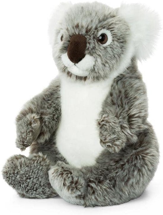 Pluche Koala Knuffel 22 cm - Zacht en Levensecht Dier