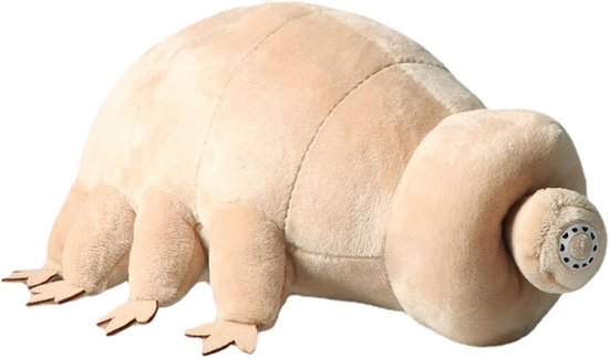 Pluche zeedier speelgoed - Knuffel pop - Kinderkamer decoratie - Realistisch design - 25 cm - Meerkleurig
