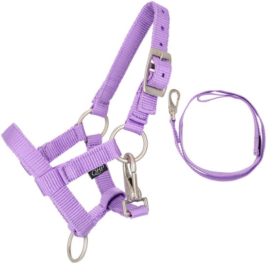 QHP - Halsterset Hobby Horse - Lila - LET OP! BETREFT ALLEEN HET HALSTER