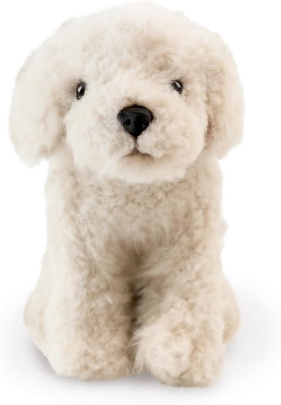 Realistisch Labradoodle Knuffeldier - Pluche Hond Speelgoed (20 cm) van Merkloos