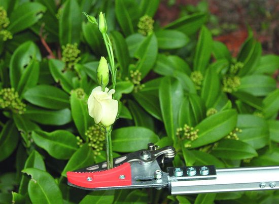 Rozenschaar Klein voor Rozen en Stekelhoudende Planten - Ergonomisch en Lichtgewicht van BAKKER