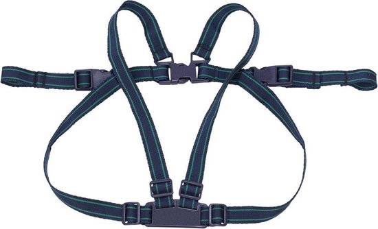 Safety 1st Veiligheidstuigje voor kinderen van Safety 1st.