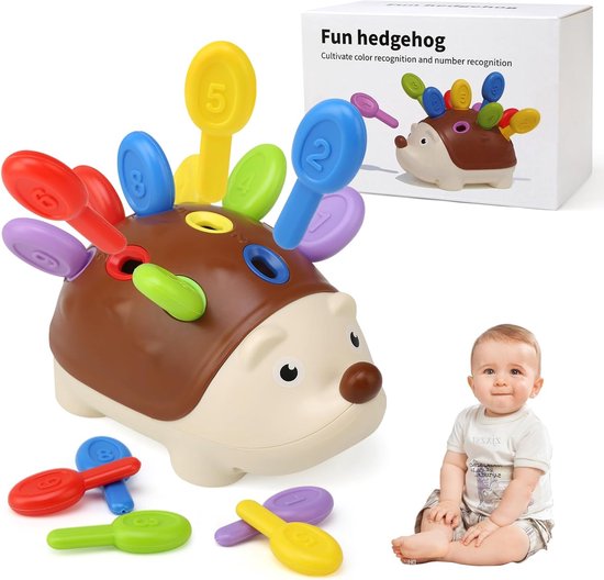 Sander Shop Sensorisch Montessori-Speelgoed Voor Baby's 18 Maanden - Egel Fijne Motoriek Sorteerspel Ontwikkeling Activiteit - Educatief Leren Reizen Voor Peuters 2 Jaar Oud