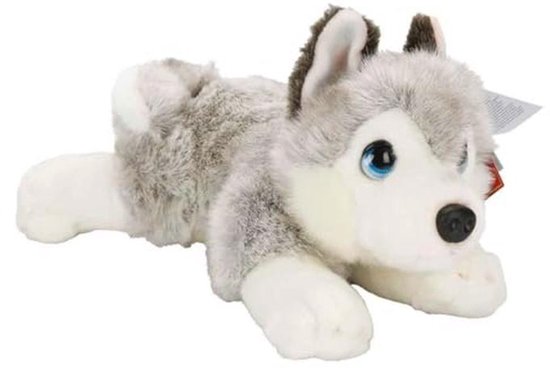 Schattige 32 cm Husky Knuffelpop voor Kinderen van Merkloos