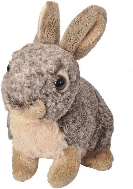 Schattige Pluche Bunny 20 cm - Perfect Speelgoed voor Kinderen