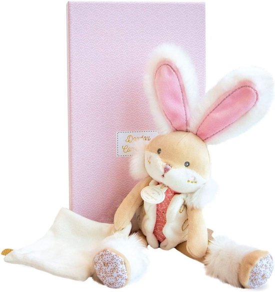 Schattige Roze Kaninchen Met Deken - Perfect Cadeau Voor Baby's van Merkloos