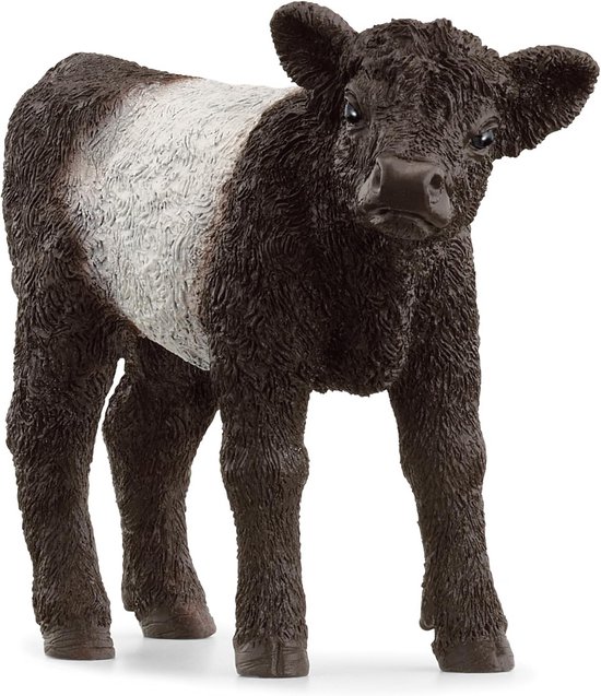 schleich FARM WORLD Galloway Calf, from 3 Years, 13969 - Play Figure, 3 x 8 x 6 cm