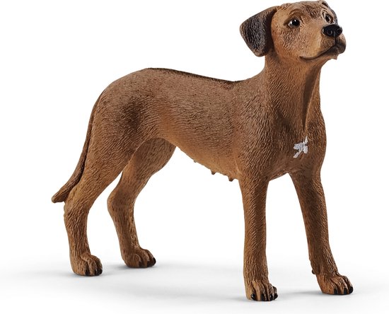 schleich FARM WORLD - Rhodesische ridgeback - 13895 van Schleich