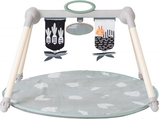 Taf Toys - Speelmat met opvouwbare activiteitenboog - Urban Garden Foldable Gym van T