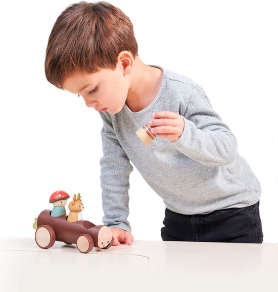 Tender Leaf Toys 7508386 speelgoedvoertuig van Tender Leaf Toys
